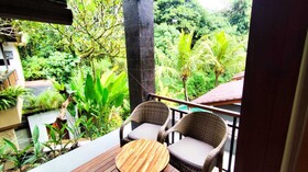 Jungle Haven Resort Central