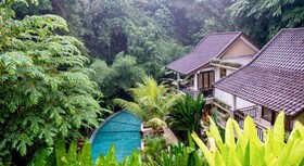 Jungle Haven Resort Central