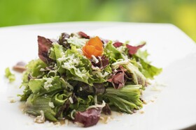 Jungle Haven Resort Central