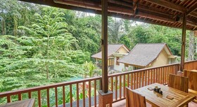 Jungle Haven Resort Central