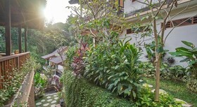 Jungle Haven Resort Central