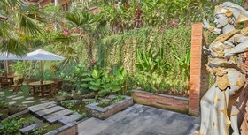 Jungle Haven Resort Central