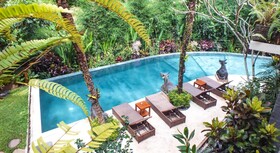 Jungle Haven Resort Central