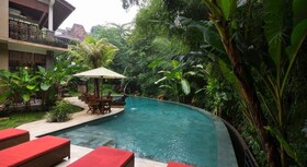 Jungle Haven Resort Central