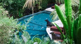 Jungle Haven Resort Central