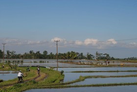 Tepi Sawah Lodge
