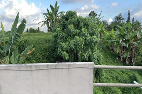 Mongan Homestay Beside The Belulang Hot Spring