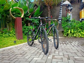 Sanur Art Villas
