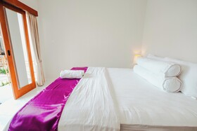 Turtle Shelter Guest House