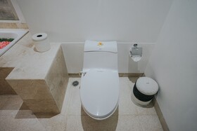 Alam Bidadari Seminyak Villa
