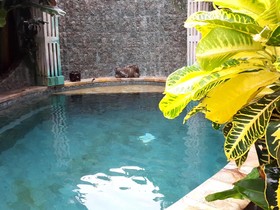 Green Chaka Paradise Villa