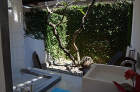 Green Private Villa