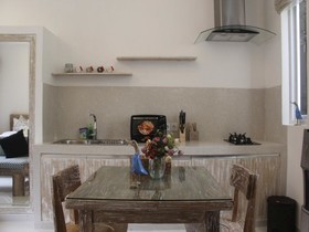 Green Studio Apartment