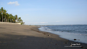 Green Umalas Resort by ZEN Rooms