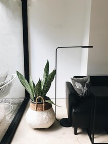 Lloyd's Inn Bali