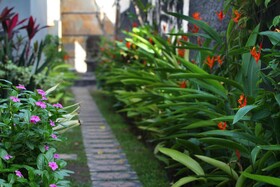 Lotus Tirta Hotel