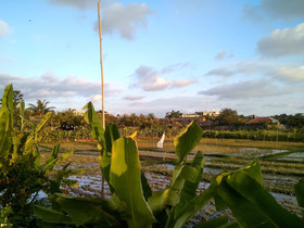 Nipuri Hotel
