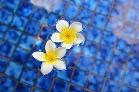 Puri Dewa Bharata Hotel & Villas