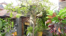 Putu Bali Villa