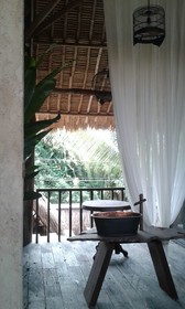 Rustic Hut