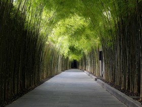 The Jineng Villas