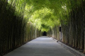 The Jineng Villas