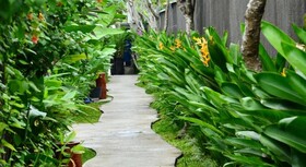 The Khayangan Dreams Villa Seminyak