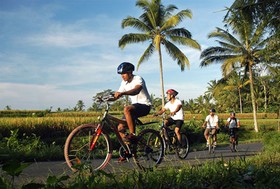 The Mawar Estate