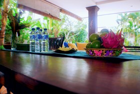 The Nenny Bali Villa