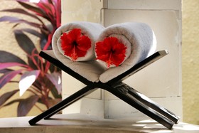 The Sanyas Suite