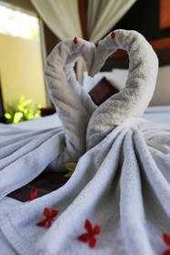 The Sanyas Suite