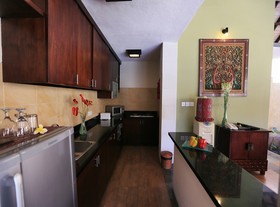 The Sanyas Suite