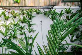Villa Bayu