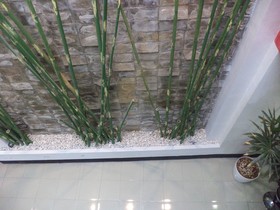 Villa Dewi