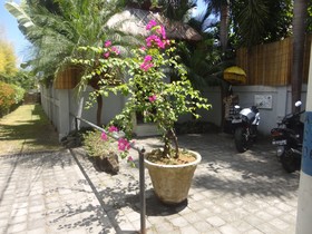 Villa Kamar Madu