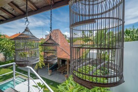 Villa Palm Tree