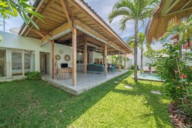 Villa Palm Tree
