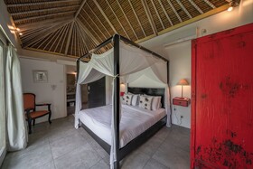 Villa Palm Tree