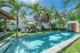 Villa Palm Tree