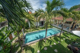 Villa Palm Tree