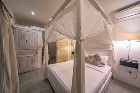 Villa Palm Tree