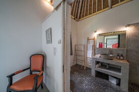 Villa Palm Tree