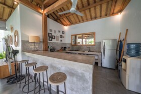 Villa Palm Tree