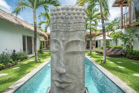 Villa Palm Tree