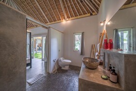 Villa Palm Tree