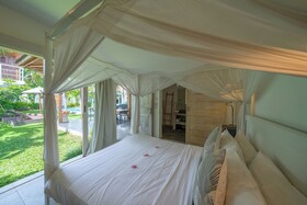 Villa Palm Tree