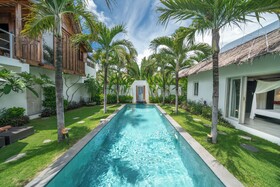 Villa Palm Tree