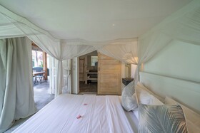 Villa Palm Tree