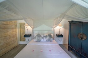 Villa Palm Tree