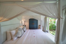 Villa Palm Tree